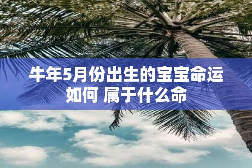 牛年5月份出生的宝宝命运如何 属于什么命