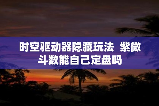时空驱动器隐藏玩法  紫微斗数能自己定盘吗