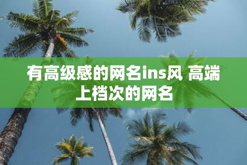 有高级感的网名ins风 高端上档次的网名