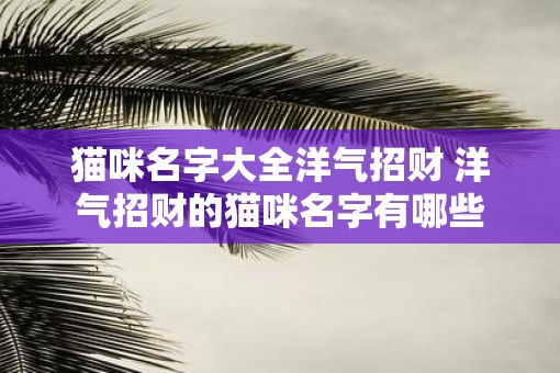 猫咪名字大全洋气招财 洋气招财的猫咪名字有哪些