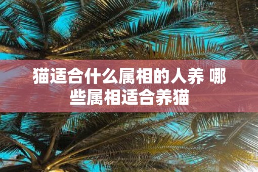 猫适合什么属相的人养 哪些属相适合养猫