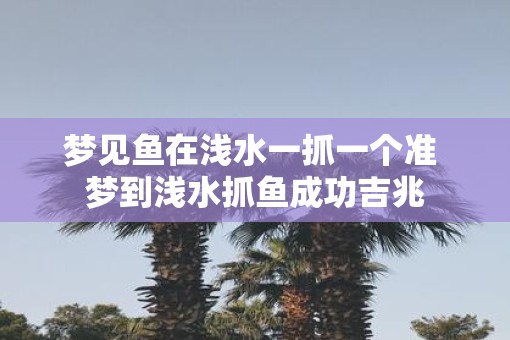 梦见鱼在浅水一抓一个准 梦到浅水抓鱼成功吉兆