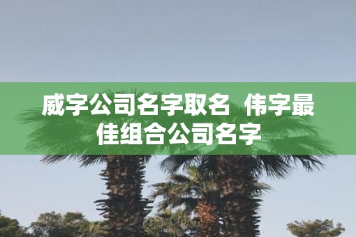 威字公司名字取名  伟字最佳组合公司名字