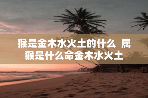 猴是金木水火土的什么  属猴是什么命金木水火土