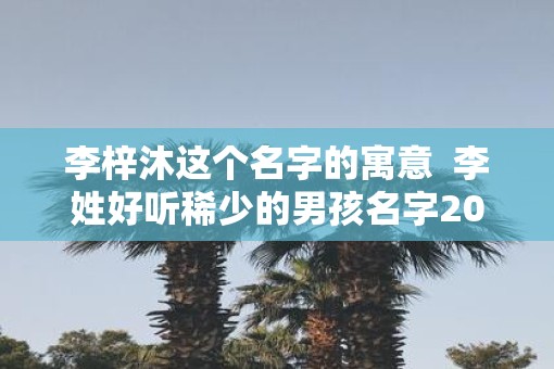 李梓沐这个名字的寓意  李姓好听稀少的男孩名字2025