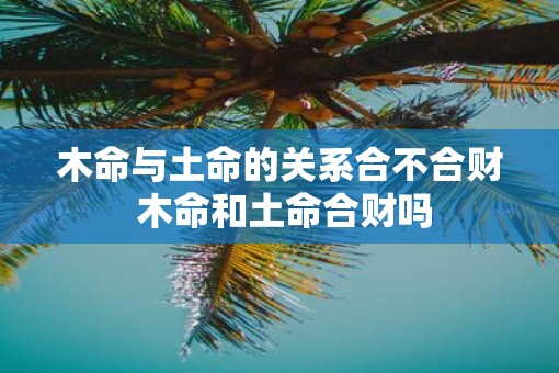 木命与土命的关系合不合财 木命和土命合财吗