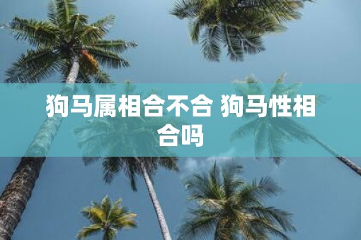 狗马属相合不合 狗马性相合吗 狗马属相合不合 狗马性相合吗