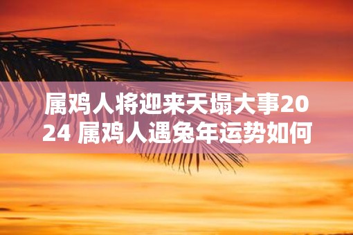 属鸡人将迎来天塌大事2025 属鸡人遇蛇年运势如何