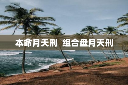 本命月天刑  组合盘月天刑