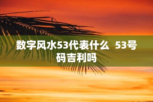 数字风水53代表什么  53号码吉利吗