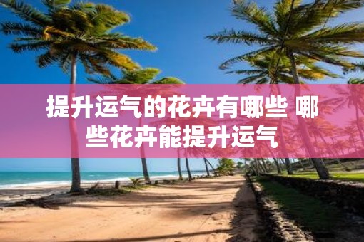 提升运气的花卉有哪些 哪些花卉能提升运气