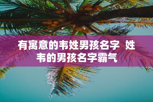 有寓意的韦姓男孩名字  姓韦的男孩名字霸气
