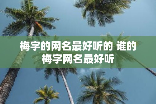 梅字的网名最好听的 谁的梅字网名最好听