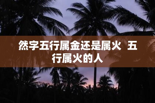 然字五行属金还是属火  五行属火的人