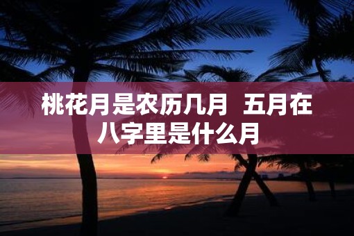 桃花月是农历几月  五月在八字里是什么月