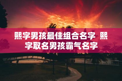 熙字男孩最佳组合名字  熙字取名男孩霸气名字