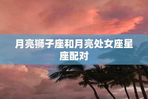 月亮狮子座和月亮处女座星座配对