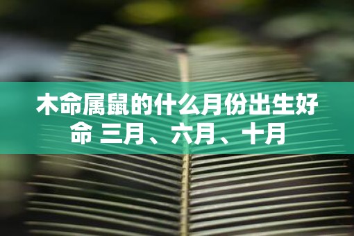 木命属鼠的什么月份出生好命 三月、六月、十月