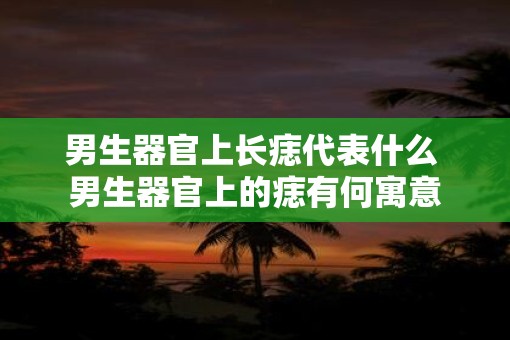 男生器官上长痣代表什么 男生器官上的痣有何寓意