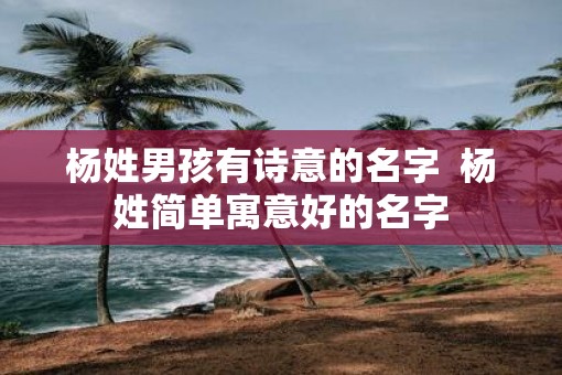 杨姓男孩有诗意的名字  杨姓简单寓意好的名字
