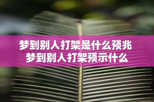 梦到别人打架是什么预兆 梦到别人打架预示什么