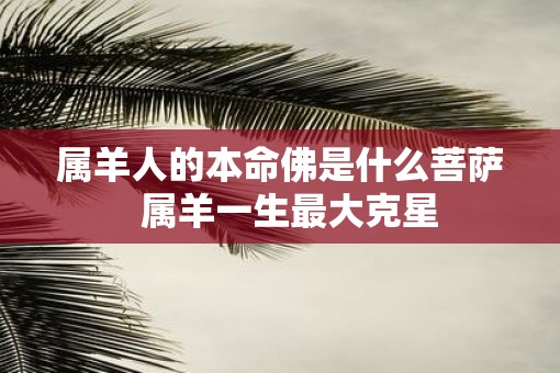 属羊人的本命佛是什么菩萨  属羊一生最大克星