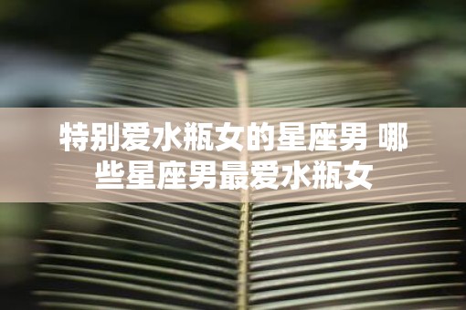 特别爱水瓶女的星座男 哪些星座男最爱水瓶女