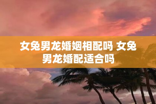 女兔男龙婚姻相配吗 女兔男龙婚配适合吗