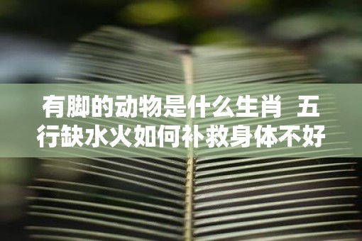 有脚的动物是什么生肖  五行缺水火如何补救身体不好