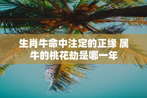 生肖牛命中注定的正缘 属牛的桃花劫是哪一年
