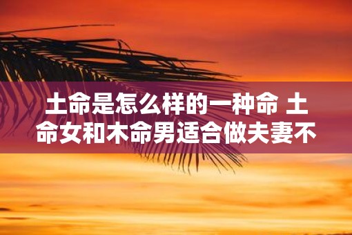 土命是怎么样的一种命 土命女和木命男适合做夫妻不