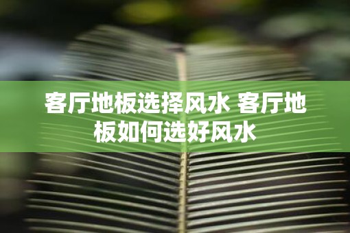 客厅地板选择风水 客厅地板如何选好风水