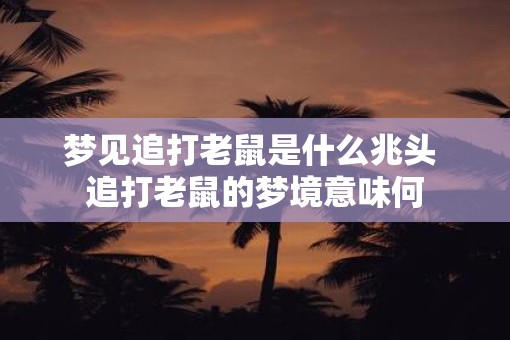 梦见追打老鼠是什么兆头 追打老鼠的梦境意味何