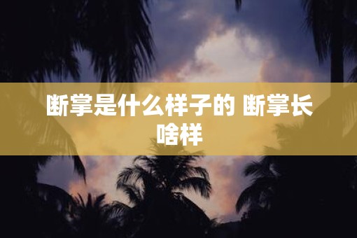 断掌是什么样子的 断掌长啥样
