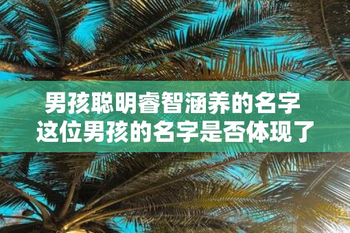 男孩聪明睿智涵养的名字 这位男孩的名字是否体现了聪明睿智的涵养
