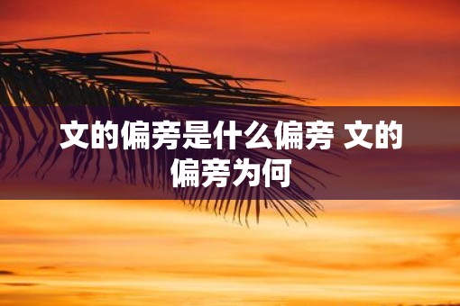 文的偏旁是什么偏旁 文的偏旁为何