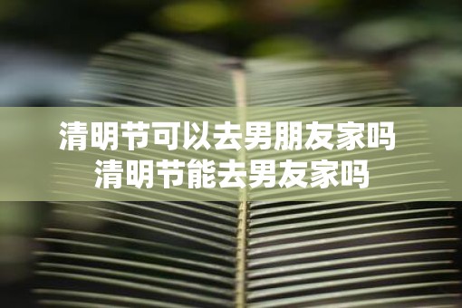 清明节可以去男朋友家吗 清明节能去男友家吗