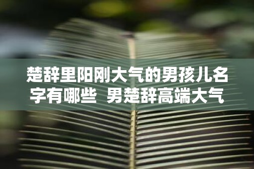 楚辞里阳刚大气的男孩儿名字有哪些 男楚辞高端大气名字 楚辞里阳刚大气的男孩儿名字有哪些 男楚辞高端大气名字