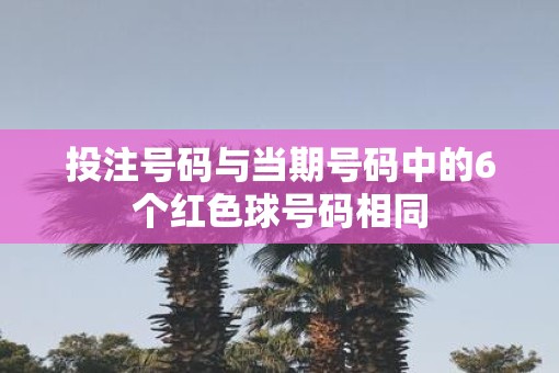 投注号码与当期号码中的6个红色球号码相同