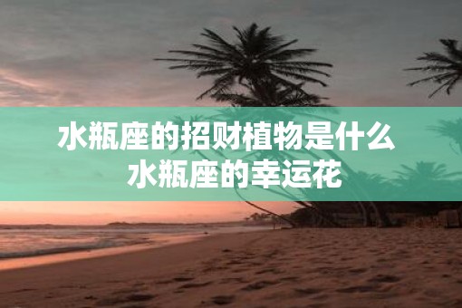 水瓶座的招财植物是什么  水瓶座的幸运花