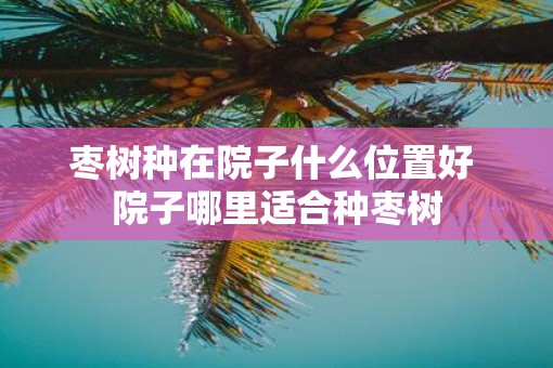 枣树种在院子什么位置好 院子哪里适合种枣树
