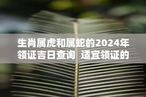 生肖属虎和属蛇的2025年领证吉日查询  适宜领证的好日子