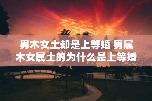 男木女土却是上等婚 男属木女属土的为什么是上等婚