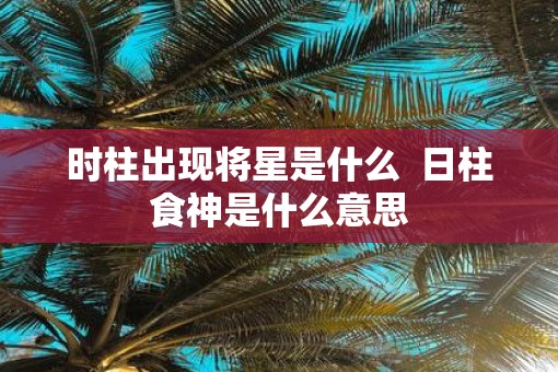 时柱出现将星是什么  日柱食神是什么意思