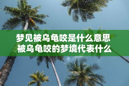 梦见被乌龟咬是什么意思 被乌龟咬的梦境代表什么