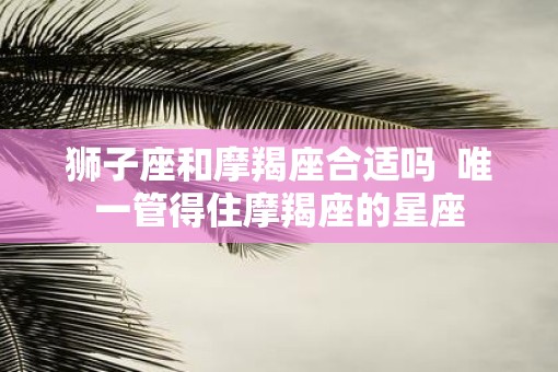 狮子座和摩羯座合适吗  唯一管得住摩羯座的星座