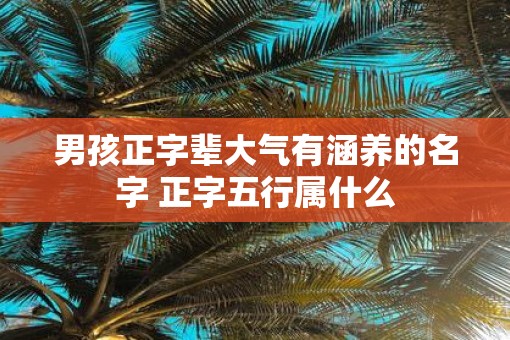 男孩正字辈大气有涵养的名字 正字五行属什么