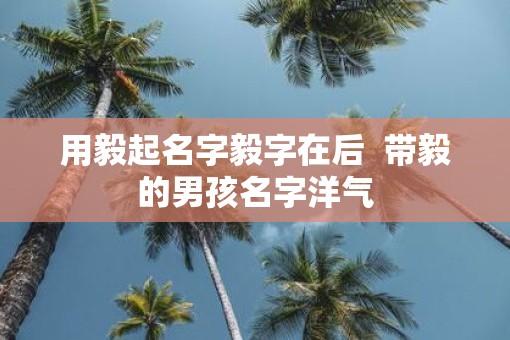 用毅起名字毅字在后  带毅的男孩名字洋气