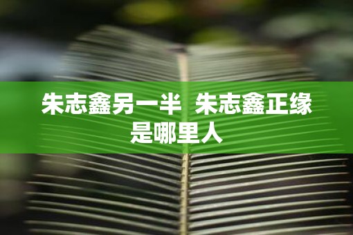 朱志鑫另一半  朱志鑫正缘是哪里人