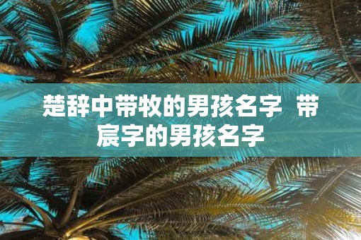 楚辞中带牧的男孩名字 带宸字的男孩名字 楚辞中带牧的男孩名字 带宸字的男孩名字